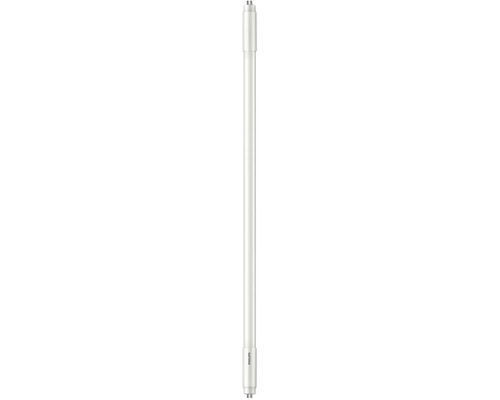 Tubes LED mini G5 8,5W mat 1100 lm 4000 K Filtre à eau pour sanitaires