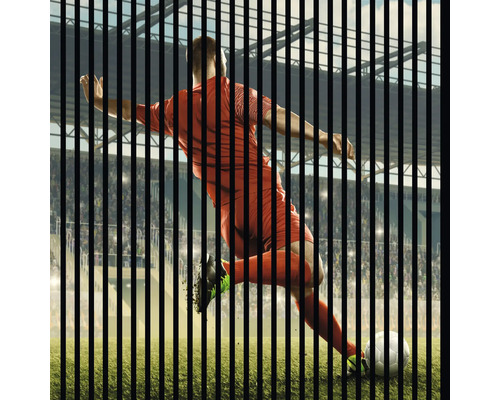 Akustikpaneel digital bedruckt Soccer 1 1195 x 1133 x 19 mm Set = 2 Einzelpaneele Akustikpaneel digital bedruckt Soccer 1 1195 x 1133 x 19 mm Set = 2 Einzelpaneele