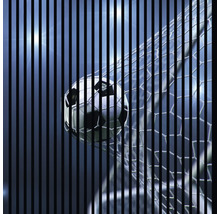 Fussball im Netz