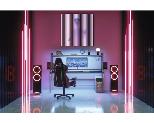 Salle de jeu avec bureau, chaise de jeu, haut-parleurs et éclairage néon