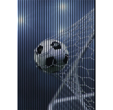 Ballon de foot dans le filet du but