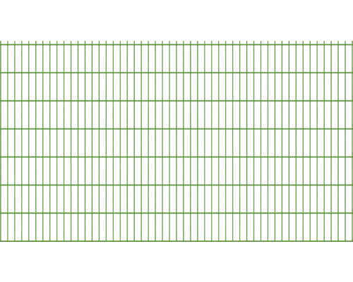 Doppelstabmatte 251x143 cm grün