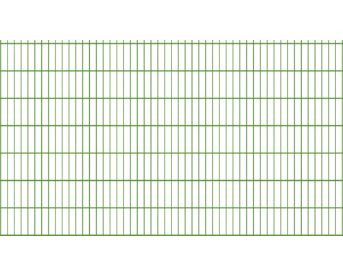 Doppelstabmatte 8/6/8 251 x 143 cm RAL 6005 moosgrün