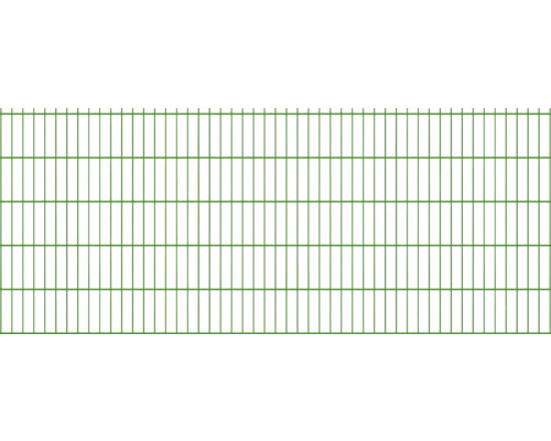 Grillage double 8/6/8 251 x 103 cm RAL 6005 vert mousse