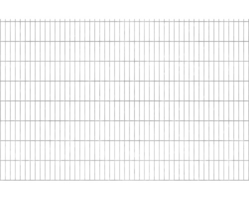 Clôture à grillage double 251x163 cm, argent