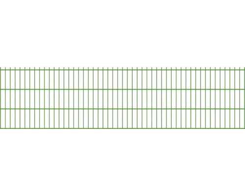 Grillage double 8/6/8 251 x 63 cm RAL 6005 vert mousse