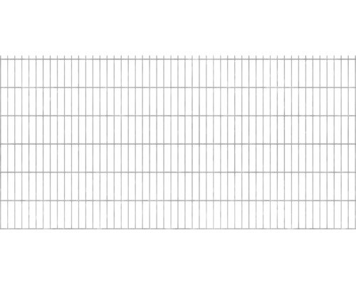 Clôture à grillage double 251x123 cm, galvanisée à chaud
