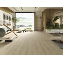 Heller Fitnessraum mit Trainingsbank, Sprossenwand und grossen Fenstern.