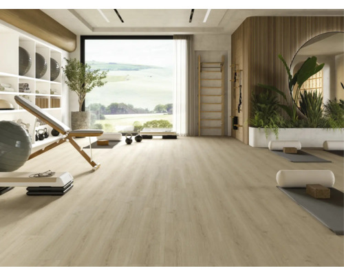 Heller Fitnessraum mit Trainingsbank, Sprossenwand und grossen Fenstern.