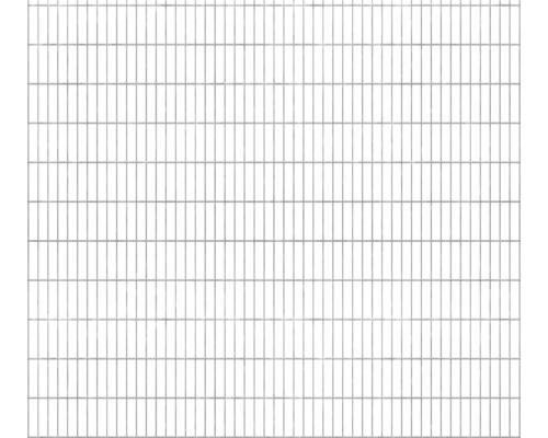 Clôture à grillage double 251x223 cm, galvanisée à chaud