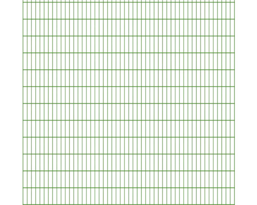 Grillage double 8/6/8 251 x 243 cm RAL 6005 vert mousse