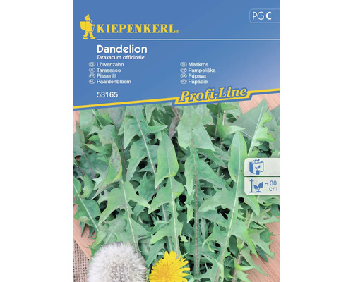 Schnittsalat/Pflücksalat Dandelion Kiepenkerl Samenfestes Saatgut Gemüsesamen