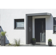 Façade d''une maison avec porte d''entrée, fenêtre et plantes