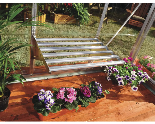 Innenansicht eines Gewächshauses mit Aluminiumregal und blühenden Topfpflanzen