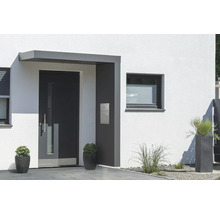 Hausfassade mit Haustür, Fenster und Pflanzenkübeln