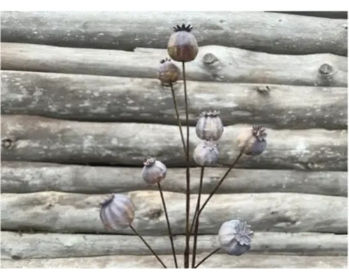 Plante artificielle Lafiora branche de pavot fibres synthétiques métal h 66 cm brun violet Pavots décoratifs pour le jardin, en tuteurs de parterre