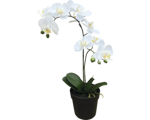 Plante artificielle Orchidée H 54 cm