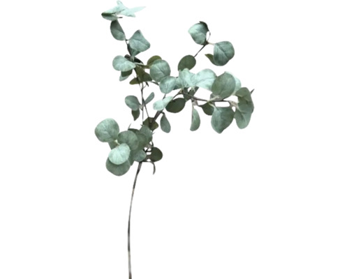 Kunstblume Zweig Eucalyptus H 88 cm