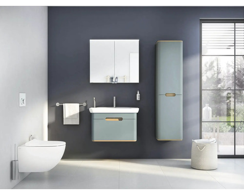 Salle de bain moderne avec lavabo, armoire de toilette, armoire haute et WC suspendu.