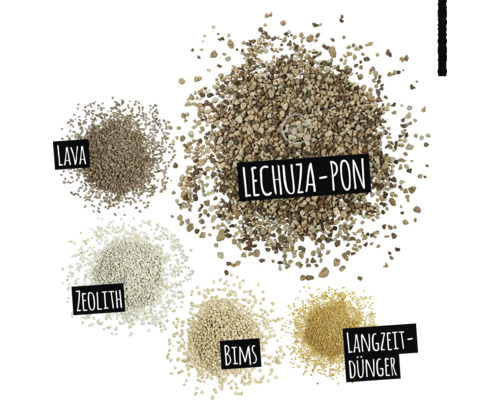Image de différents substrats de culture : lave, Lechuza-Pon, zéolite, pierre ponce et engrais à libération lente.