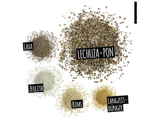 Image de différents types de substrats de culture : lave, Lechuza-Pon, zéolite, pierre ponce et engrais à libération lente.