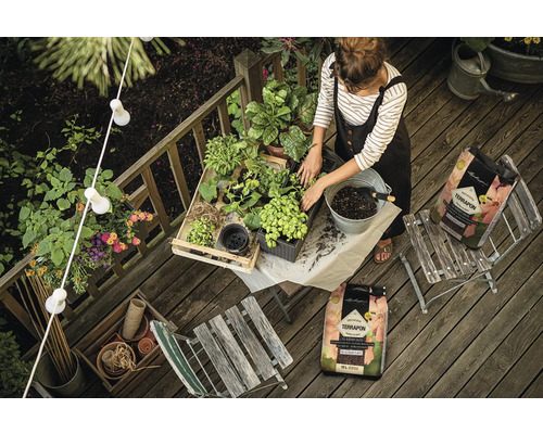 Une femme repique des plantes sur une terrasse avec du terreau
