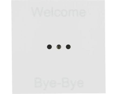 Insert de touche smart PLACE scène Welcome/Bye-Bye 1 position blanc