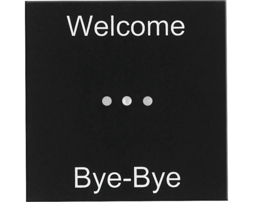 Insert de touche smart PLACE scène Welcome/Bye-Bye 1 position noir