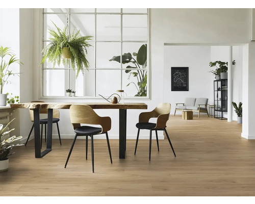 Pièce lumineuse avec plancher en bois, table à manger, chaises et plantes d''intérieur