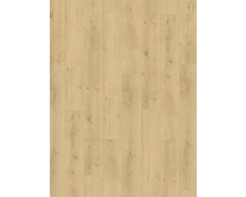 Texture de parquet en bois clair pour intérieur