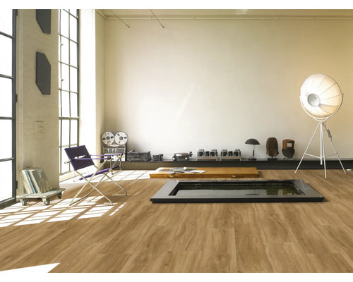 Pièce lumineuse avec revêtement de sol imitation bois, chaise et décoration