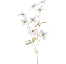 Branche décorative avec fleurs blanches pour l''intérieur