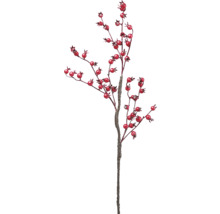 Branche décorative avec des baies rouges pour les fêtes