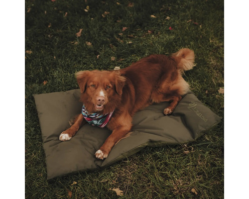 Chien allongé sur un matelas pour chien à l''extérieur.