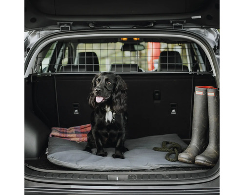 Chien assis dans le coffre d''une voiture avec grille pour chien, couchage pour chien et bottes en caoutchouc