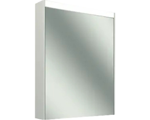 Armoire de toilette Schneider OBJECT LINE COMFORT 4000K LxHxP 49,5x74,2x12 cm blanc
