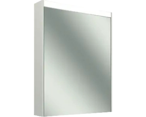 Armoire de toilette Schneider OBJECT LINE COMFORT 3000K LxHxP 49,5x74,2x12 cm blanc