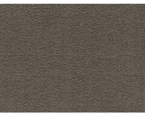Moquette Shaggy Feliz beige foncé FB43 largeur 500 cm (au mètre) Gros plan d''une surface plâtrée