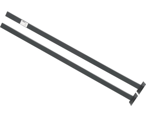 Poteaux Lilie Leone set de 2 avec dalle de sol 6x3x180 cm anthracite Deux poutres de support en acier pour étagères