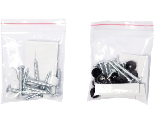 Deux sachets avec vis et capuchons