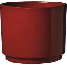 Pot de fleurs en plastique