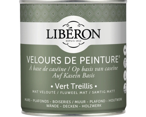 Wandfarbe Velours de Peinture grün treilis 0,5 l Farbeimer mit matter Wandfarbe auf Kaseinbasis