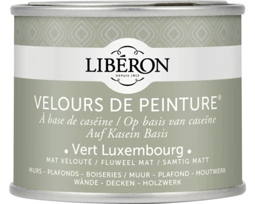 Wandfarbe Velours de Peinture grün luxembourg 125 ml