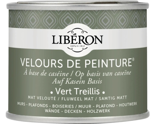 Wandfarbe Velours de Peinture grün treilis 125 ml Farbdose für Wände, Decken und Holzwerk von Libéron