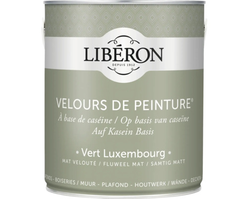 Wandfarbe Velours de Peinture grün luxembourg 2,5 l