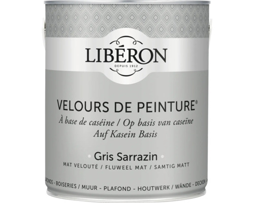 Wandfarbe Velours de Peinture grau sarrazin 2,5 l