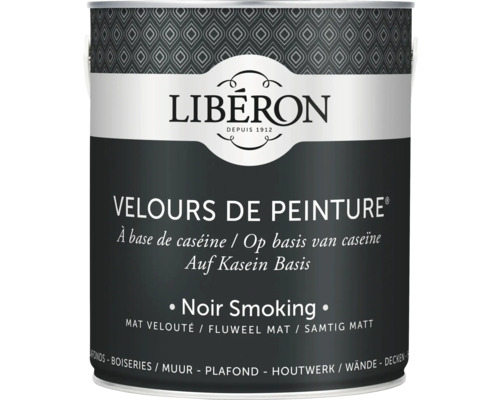 Wandfarbe Velours de Peinture schwarz smoking 2,5 l