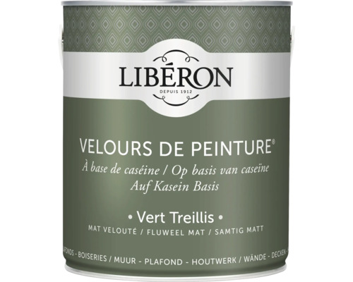 Peinture murale Velours de Peinture Vert Treillis 2.5 l Peinture à base de caséine en pot