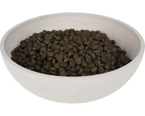 Nourriture pour chiens dans un bol