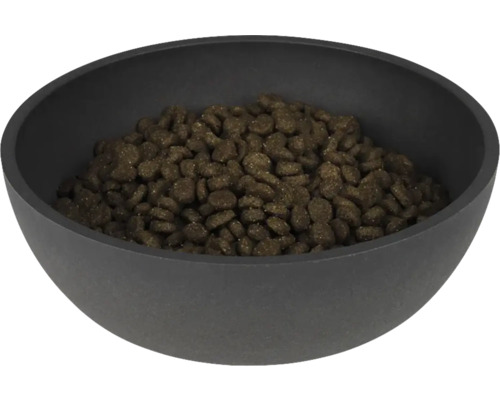 Napf gefüllt mit Hunde-Trockenfutter